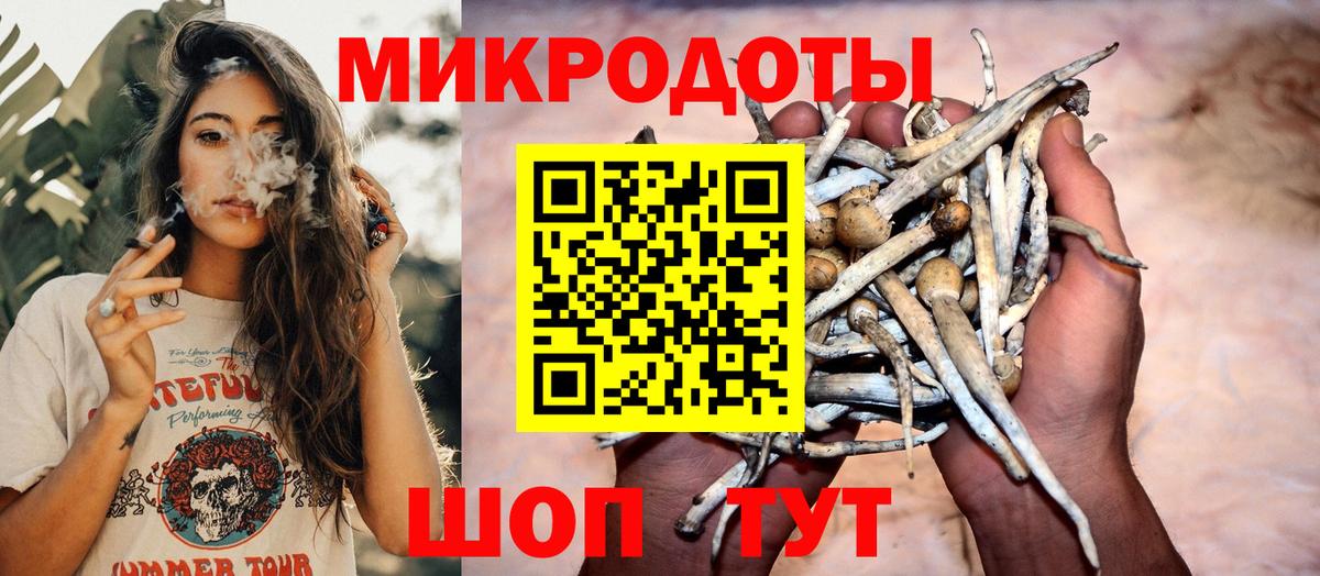 Галлюциногенные грибы Psilocybine cubensis  Псилоцибиновые грибы ЛСД  Стрежевой  Вход с VPN 